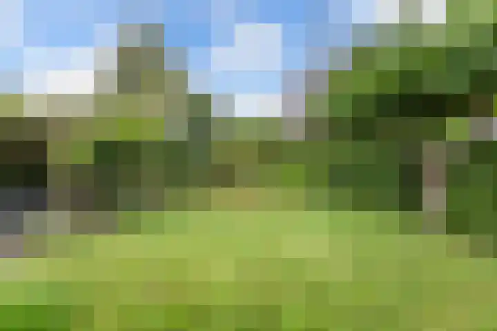 Eise Eisingastrjitte 46 Dronryp thumbnail 39