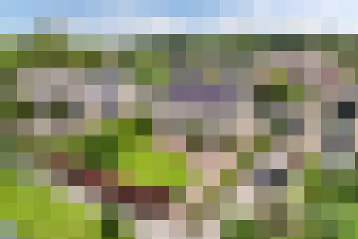 Eise Eisingastrjitte 46 Dronryp thumbnail 4