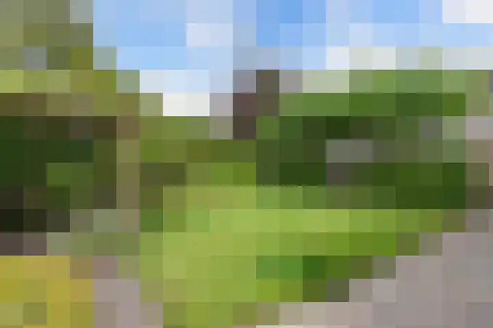 Eise Eisingastrjitte 46 Dronryp thumbnail 40