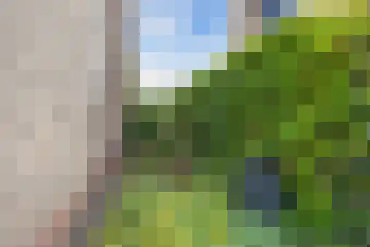 Eise Eisingastrjitte 46 Dronryp thumbnail 41