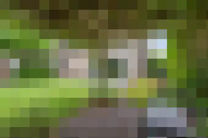Eise Eisingastrjitte 46 Dronryp thumbnail 42
