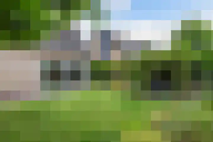 Eise Eisingastrjitte 46 Dronryp thumbnail 43