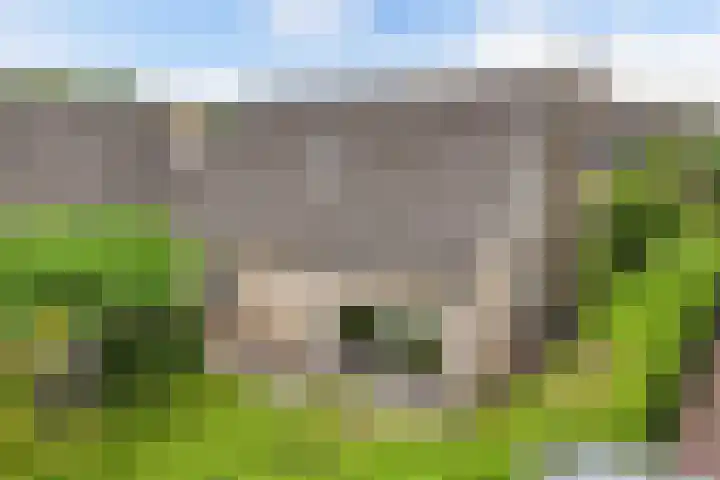 Eise Eisingastrjitte 46 Dronryp thumbnail 44