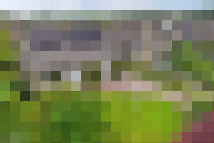 Eise Eisingastrjitte 46 Dronryp thumbnail 51