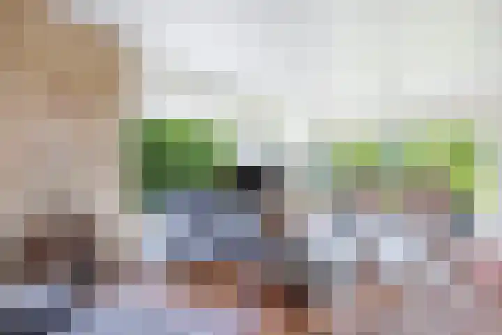 Eise Eisingastrjitte 46 Dronryp thumbnail 9