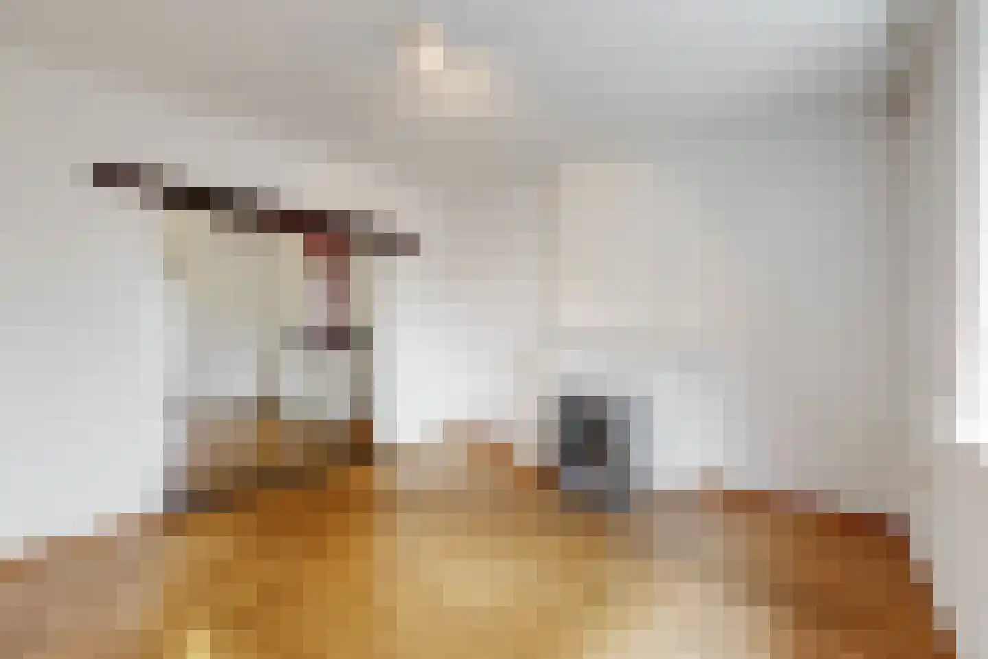 Eisenderstraat 21 Geleen thumbnail 8