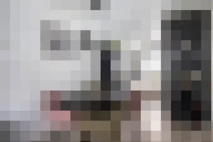 Eisenhowerdreef 39 Ede thumbnail 12