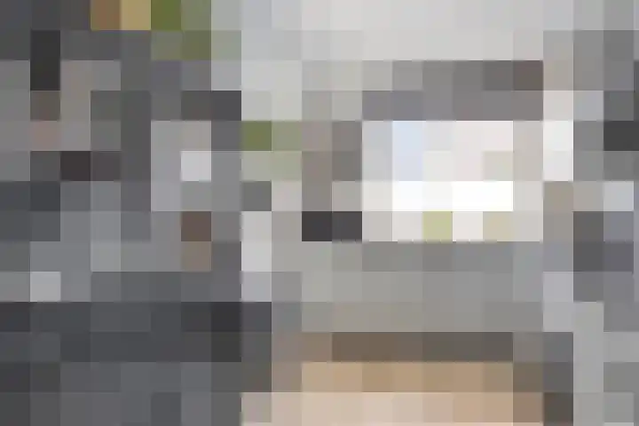 Eisenhowerdreef 39 Ede thumbnail 13