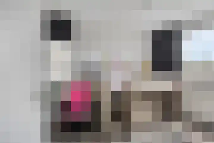 Eisenhowerdreef 39 Ede thumbnail 18