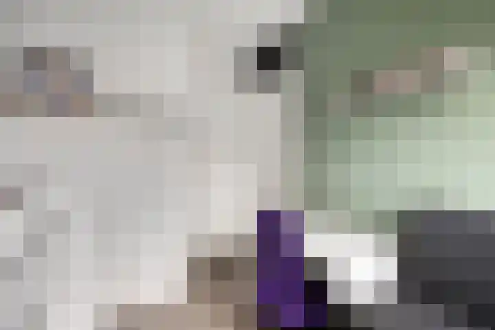 Eisenhowerdreef 39 Ede thumbnail 21