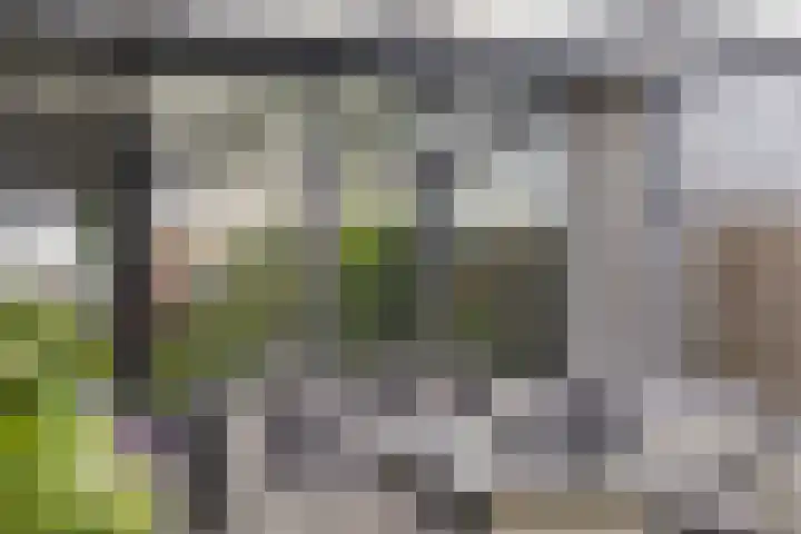 Eisenhowerdreef 39 Ede thumbnail 33