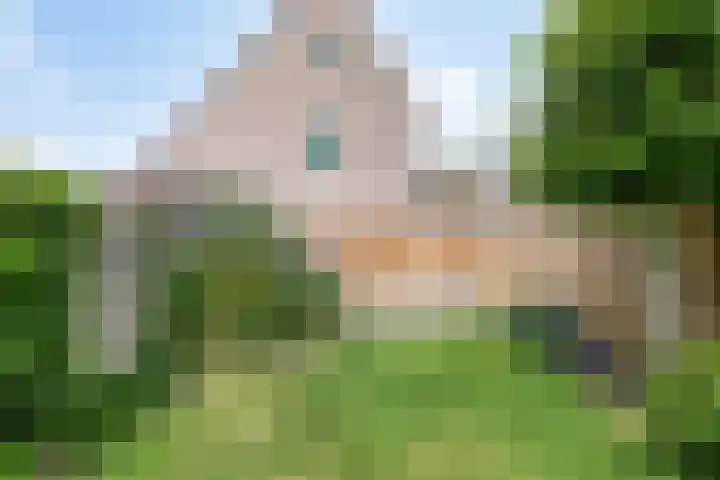 Eisenhowerdreef 39 Ede thumbnail 35