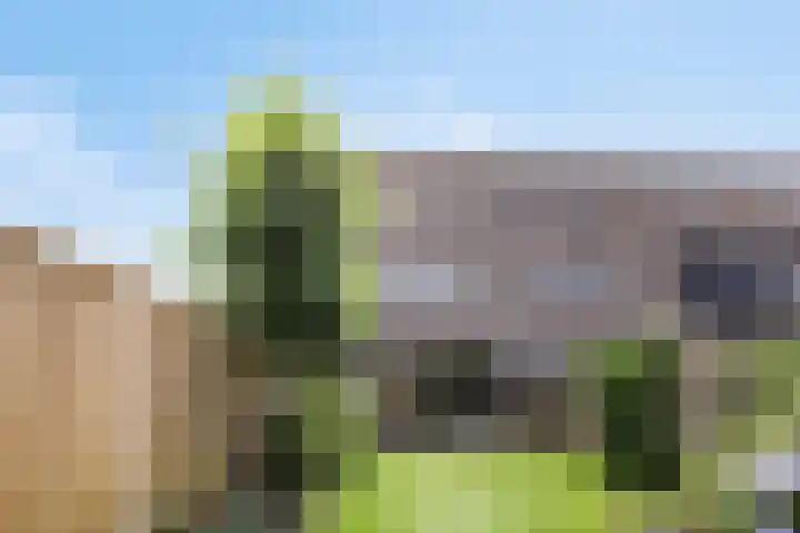Eisenhowerdreef 39 Ede thumbnail 36