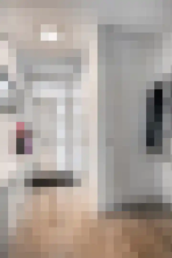 Eisenhowerdreef 39 Ede thumbnail 6