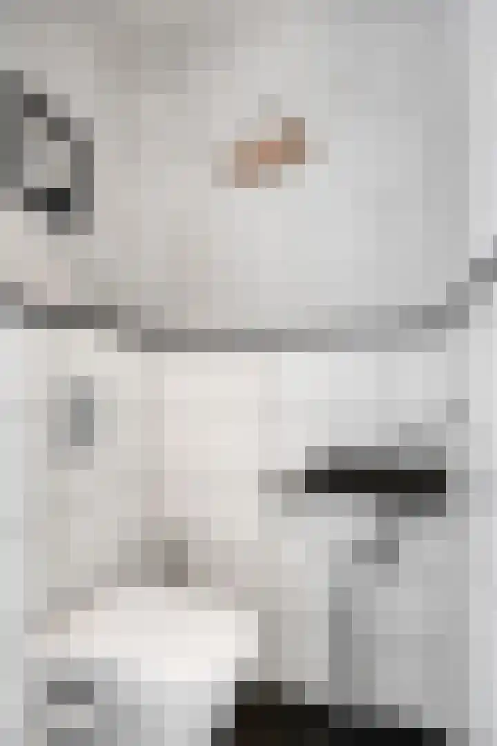 Eisenhowerdreef 39 Ede thumbnail 7