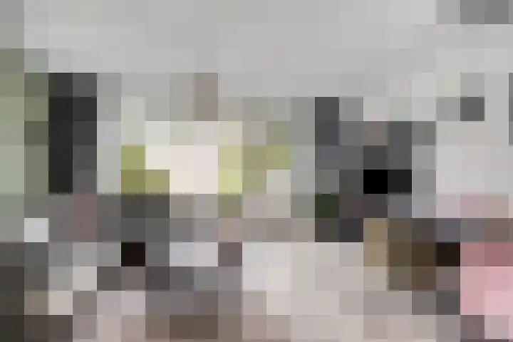 Eisenhowerdreef 39 Ede thumbnail 9