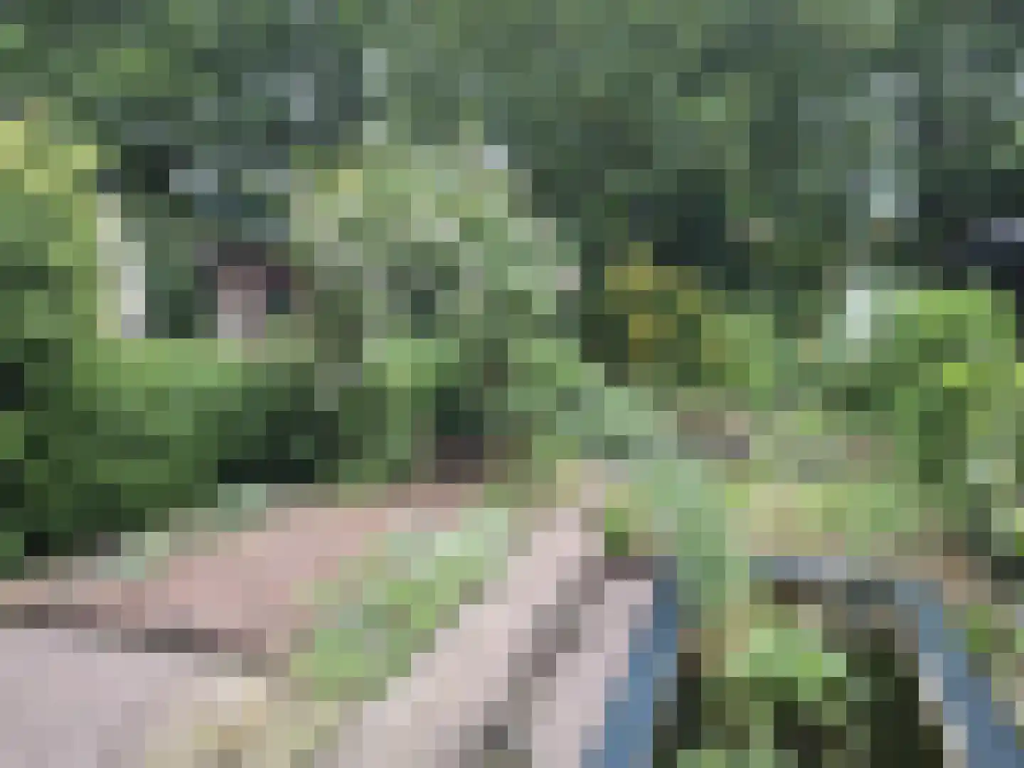 Eisenhowerlaan 12 Delft thumbnail 15
