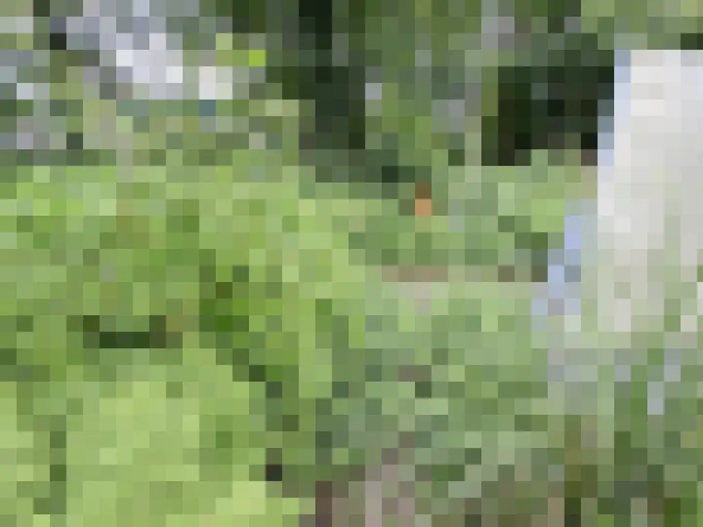 Eisenhowerlaan 12 Delft thumbnail 17
