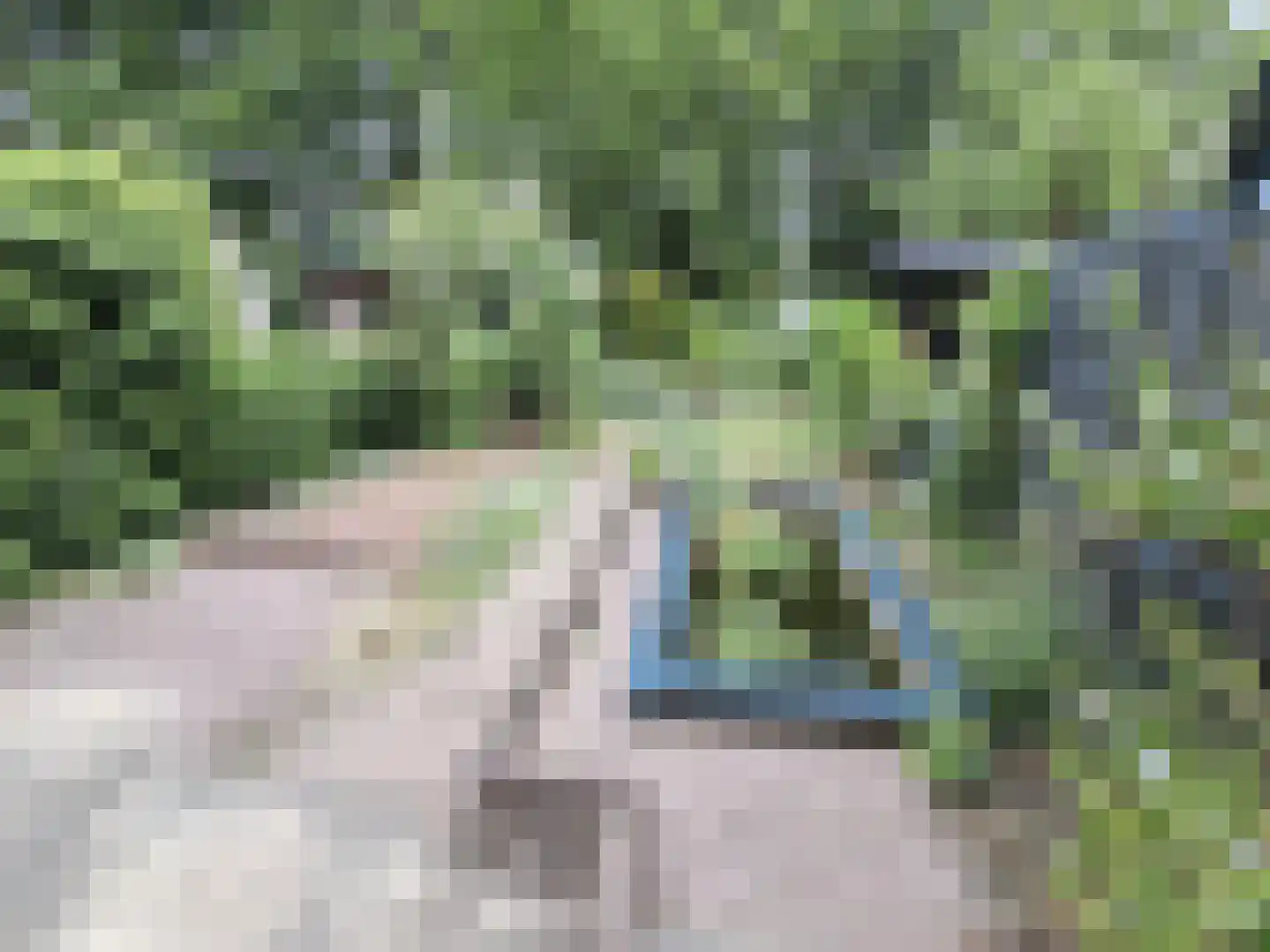 Eisenhowerlaan 12 Delft thumbnail 18