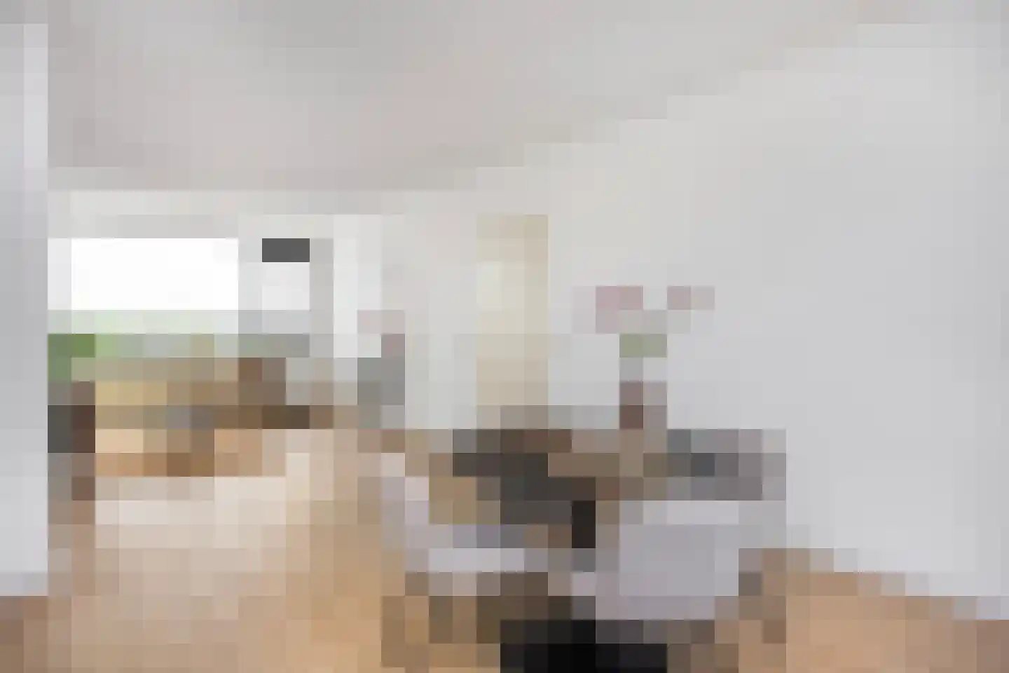Eisenhowerlaan 128 Utrecht thumbnail 8