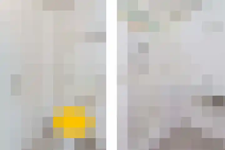 Eisenhowerlaan 146 Utrecht thumbnail 12
