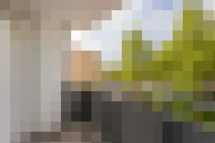 Eisenhowerlaan 146 Utrecht thumbnail 13