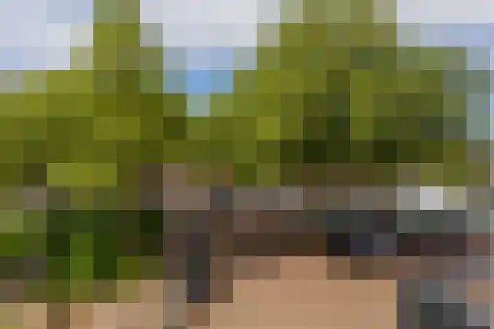 Eisenhowerlaan 146 Utrecht thumbnail 14