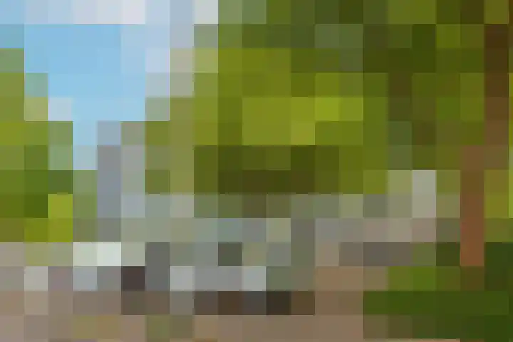 Eisenhowerlaan 146 Utrecht thumbnail 15