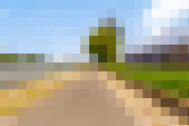 Eisenhowerlaan 146 Utrecht thumbnail 16