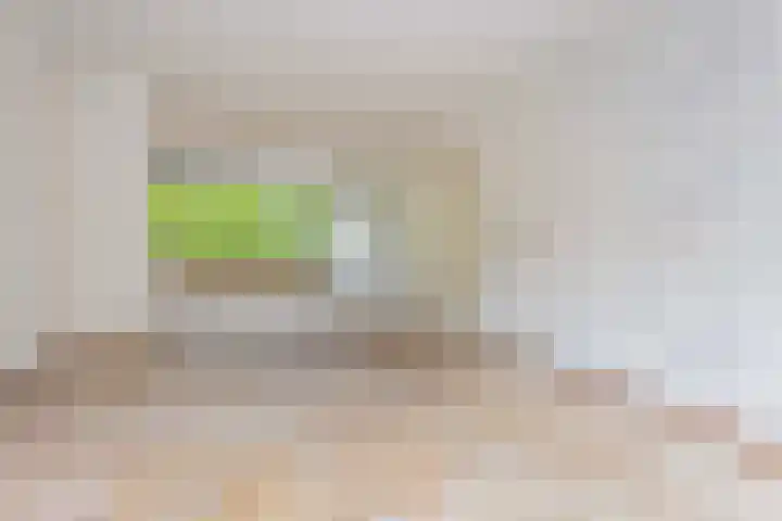 Eisenhowerlaan 146 Utrecht thumbnail 4