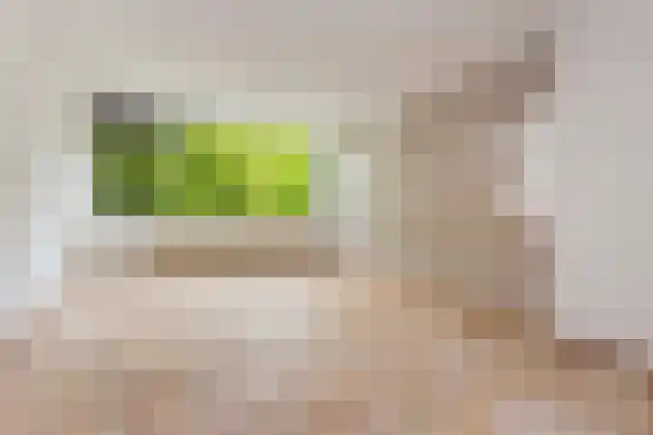 Eisenhowerlaan 146 Utrecht thumbnail 5