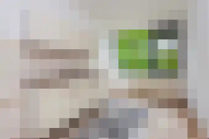 Eisenhowerlaan 146 Utrecht thumbnail 6