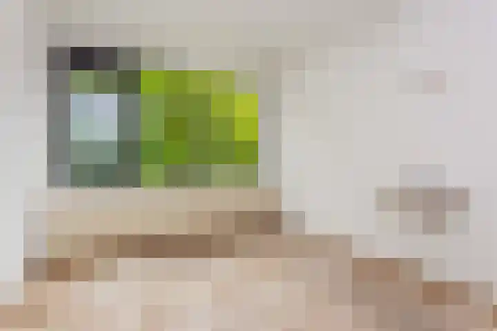 Eisenhowerlaan 146 Utrecht thumbnail 9