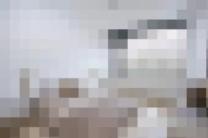 Eisenhowerlaan 150 Utrecht thumbnail 11