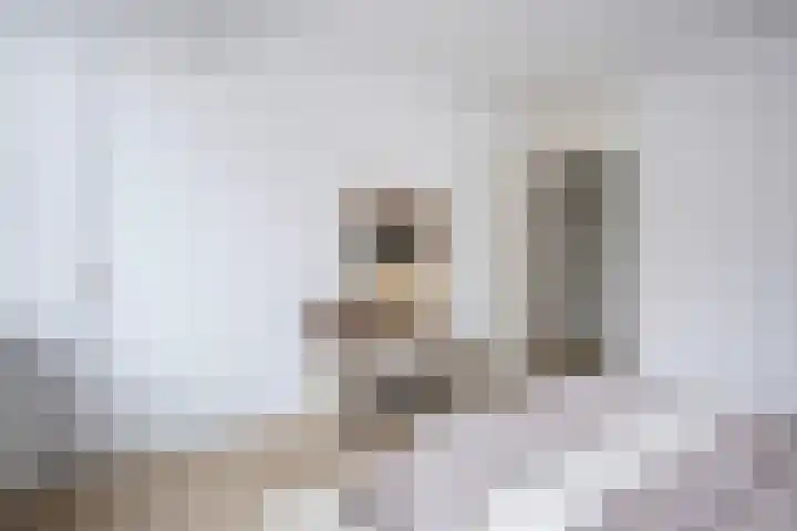 Eisenhowerlaan 150 Utrecht thumbnail 12