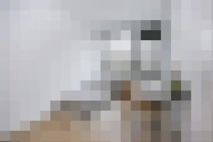 Eisenhowerlaan 150 Utrecht thumbnail 13