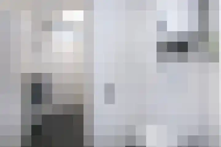 Eisenhowerlaan 150 Utrecht thumbnail 14