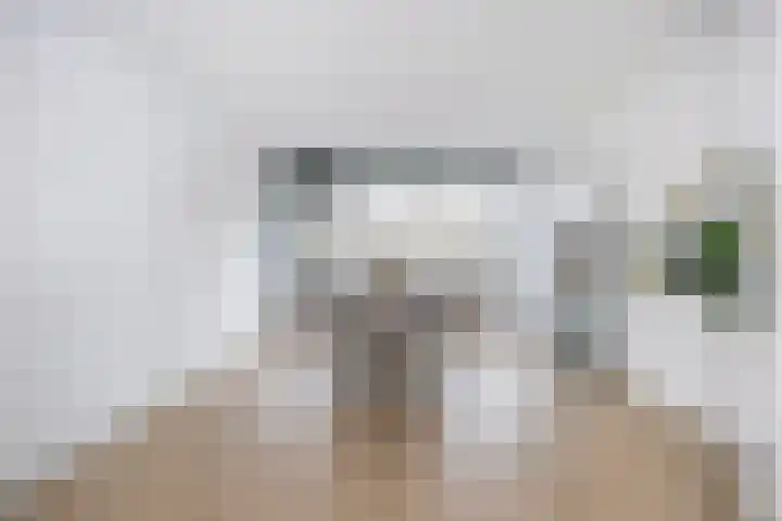 Eisenhowerlaan 150 Utrecht thumbnail 4