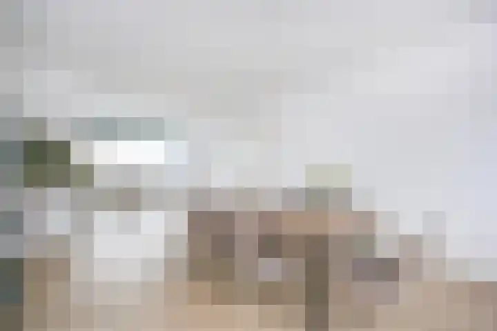 Eisenhowerlaan 150 Utrecht thumbnail 6