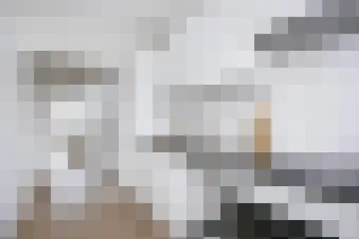 Eisenhowerlaan 150 Utrecht thumbnail 8