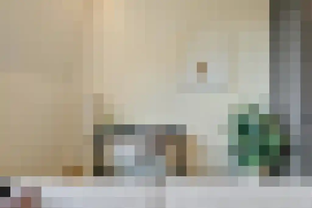 Eisenhowerlaan 158 F Den Haag thumbnail 6