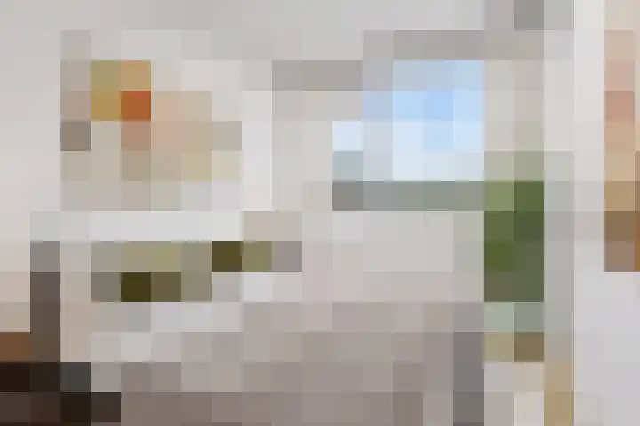 Eisenhowerlaan 160 Utrecht thumbnail 10