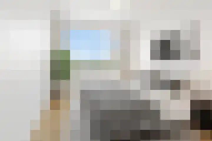 Eisenhowerlaan 160 Utrecht thumbnail 12