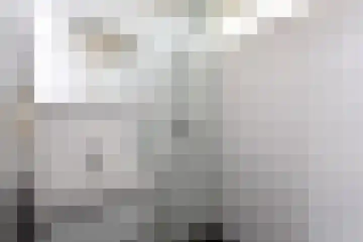 Eisenhowerlaan 160 Utrecht thumbnail 14