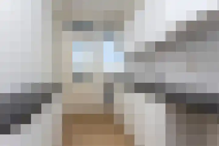 Eisenhowerlaan 160 Utrecht thumbnail 5