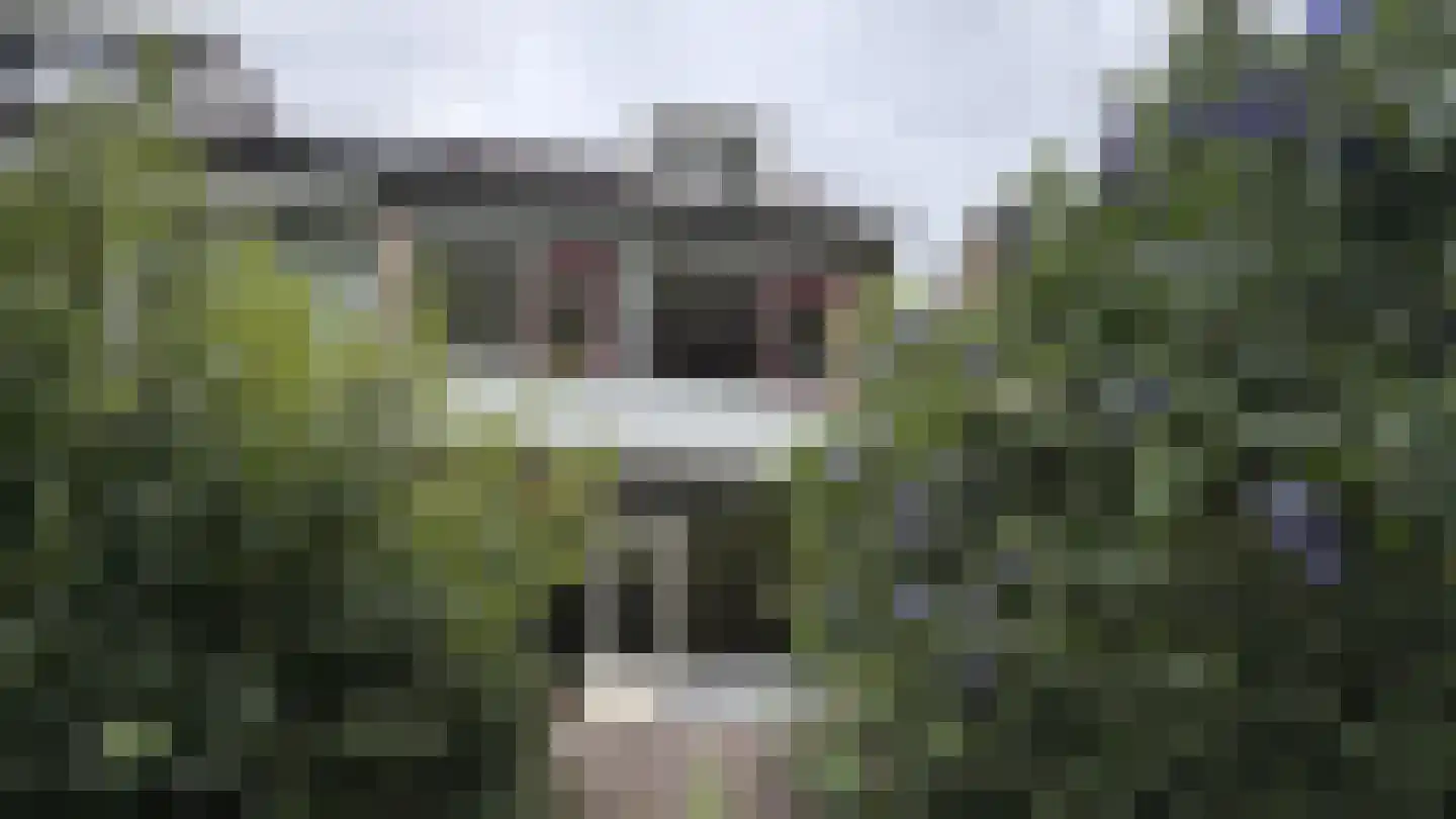 Eisenhowerlaan 18 Delft thumbnail 15