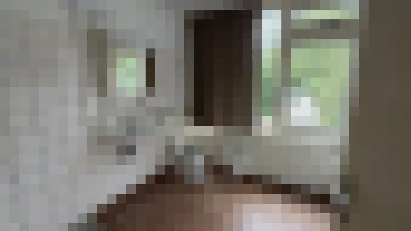 Eisenhowerlaan 18 Delft thumbnail 6