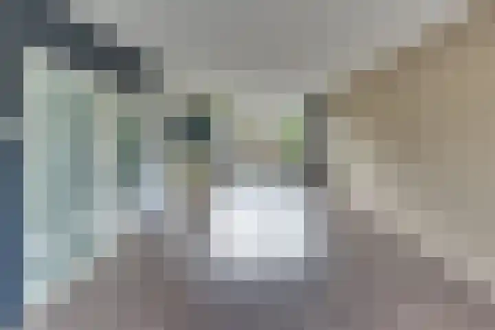 Eisenhowerlaan 23 Harderwijk thumbnail 15