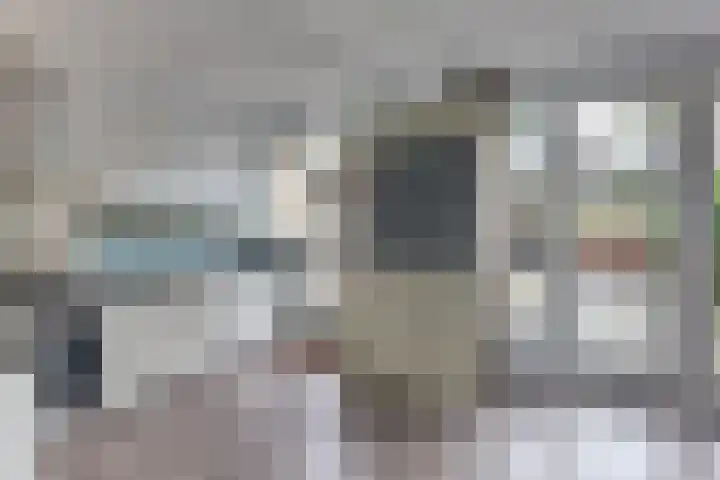 Eisenhowerlaan 23 Harderwijk thumbnail 21
