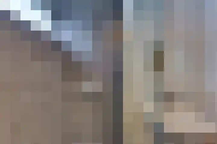 Eisenhowerlaan 23 Harderwijk thumbnail 32